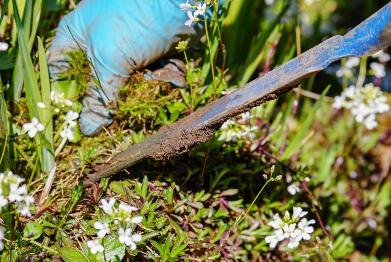 weed puller